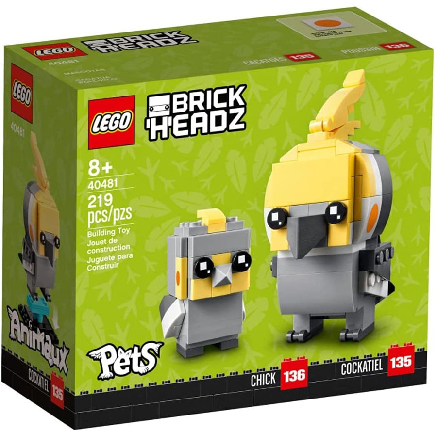 40481