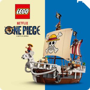 one piece_REDUCIDO